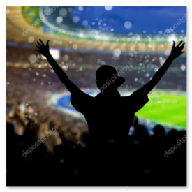 Club de fútbol administrando su liga con sistema especializado